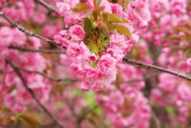 温州平阳10线下个人借款平台一站式服务，轻松解决资金难题