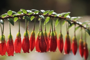 温州平阳10零用贷短借：轻松解决临时资金需求