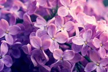 温州平阳10企业急用钱贷款攻略：快速融资解燃眉之急